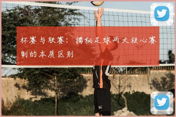 杯赛与联赛：揭秘足球两大核心赛制的本质区别
